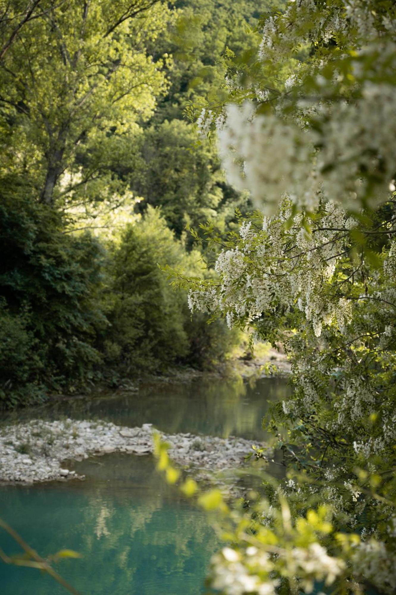 Glamping Dragonja River Šmarje Esterno foto