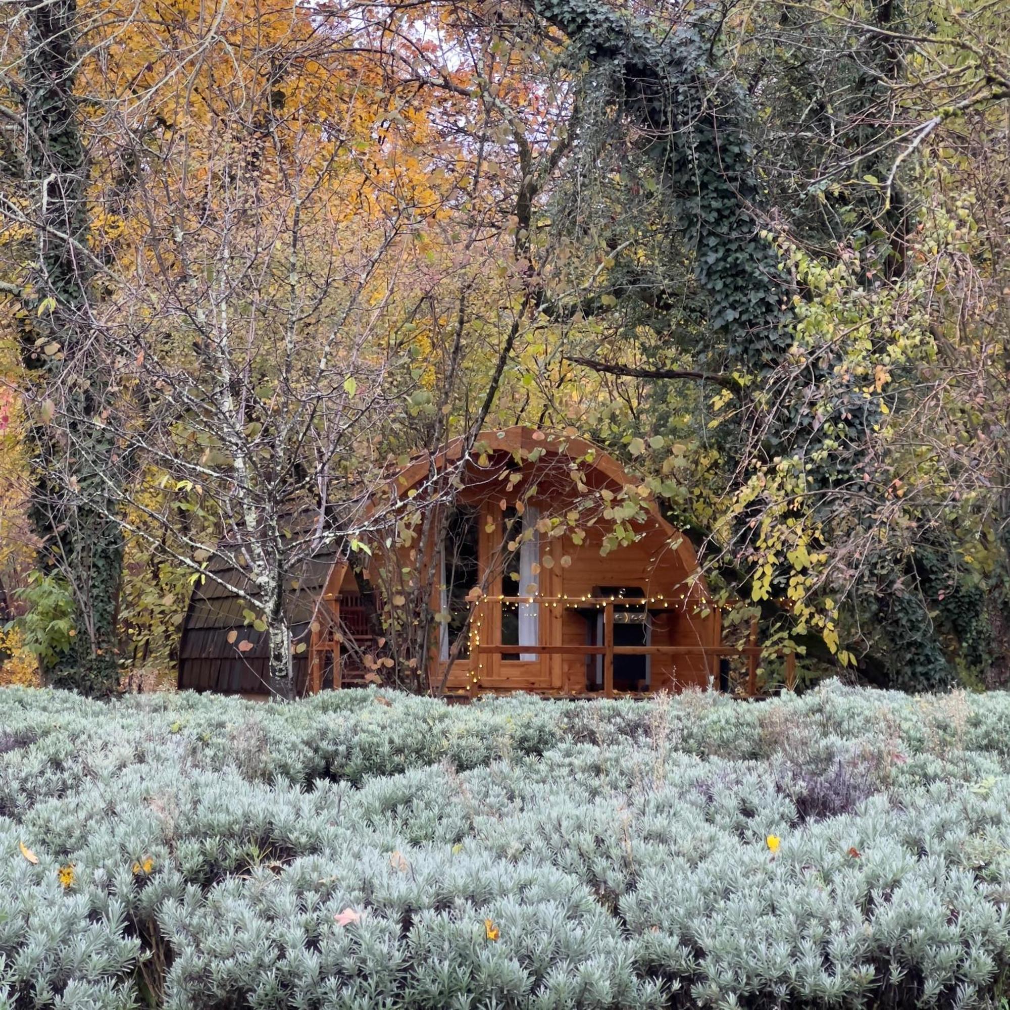 Glamping Dragonja River Šmarje Esterno foto
